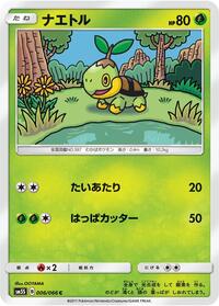 Turtwig