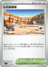 Fossil Excavation Site