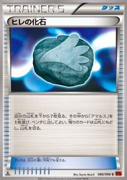 Sail Fossil