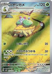 Grotle