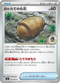 Antique Armor Fossil