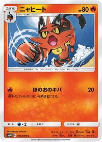Torracat