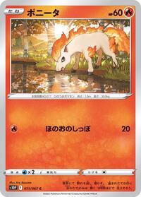 Ponyta