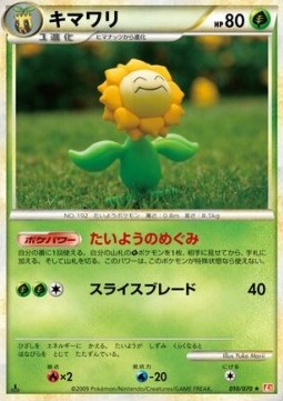 Sunflora