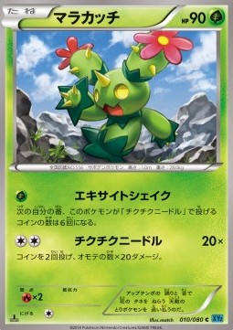 Maractus