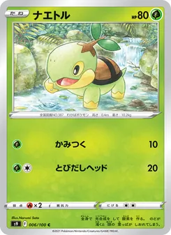 Turtwig